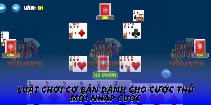 Luật chơi cơ bản dành cho cược thủ mới nhập cuộc