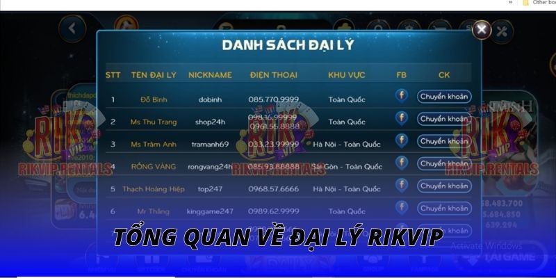 Tổng quan về chương trình đại lý RIKVIP